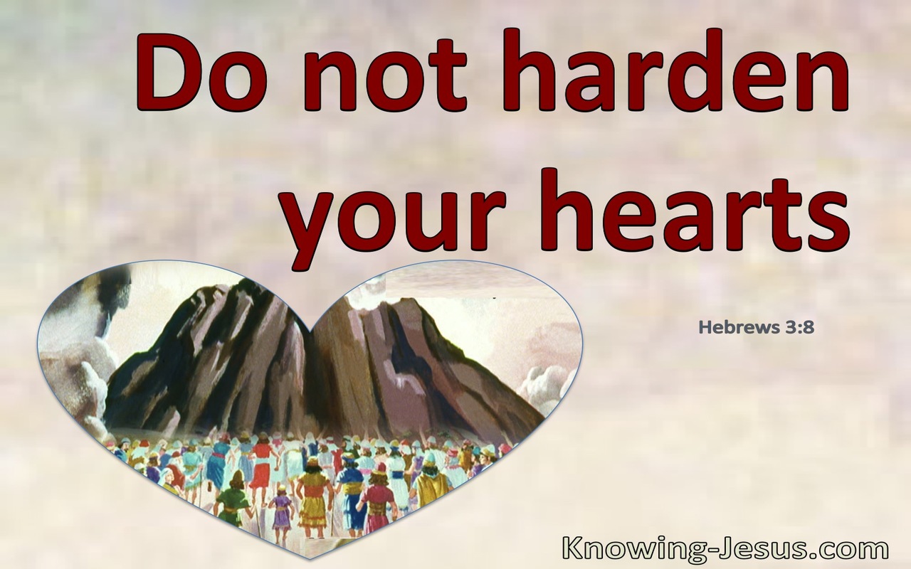 Hebrews 3:8 Do Not Harden Your Hearts As In The Wilderness (red)